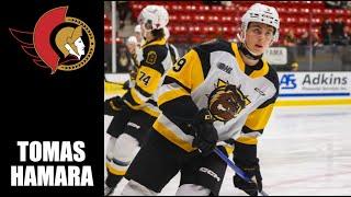 NHL Prospects : Tomas Hamara - 23-24 Highlights