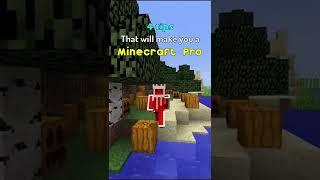 How to be a Minecraft Pro