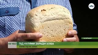 На часі - Як запорізькі аграрії рятують врожай. - 02.08.2022