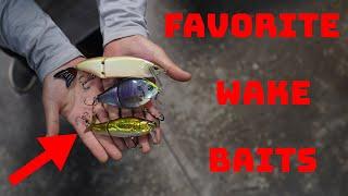 Our Favorite Wake Baits To Fish To Catch Aggressive Bass!