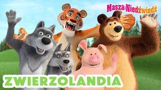 Masza i Niedźwiedź  Zwierzolandia  Kolekcja kreskówek ‍️ Masha and the Bear