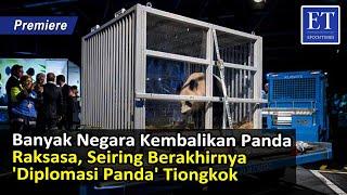 Banyak Negara Kembalikan Panda Raksasa, Seiring Berakhirnya 'Diplomasi Panda' Tiongkok