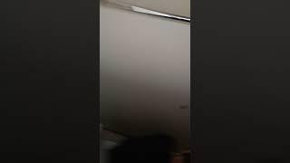 макс б срет в туалете