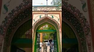 Jabbhi Aayege Moula imam e Zamana