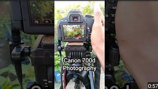 Canon 700d DSLR photography || Joy Unitech #Shorts9 || New shorts 2021