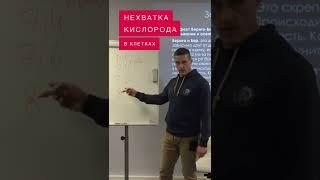 Шок! Чем глубже дышит человек, тем меньше кислорода попадает в клетки