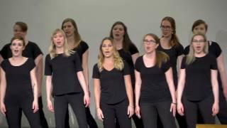 Vox Tronica - Prairie Voices (Tobin Stokes)