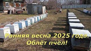 Ранняя весна 2025 года. Облёт пчёл! (11.03.2025)