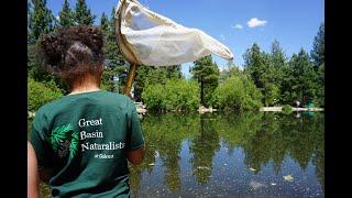 Great Basin Naturalists Summer Camp 2019