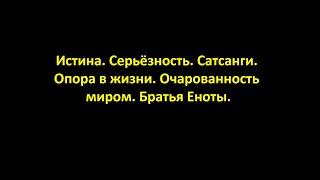 Истина.  Серьёзность.  Сатсанги.  Опора в жизни.  Очарованность миром.