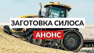 Заготовка кукурузы на силос. АНОНС