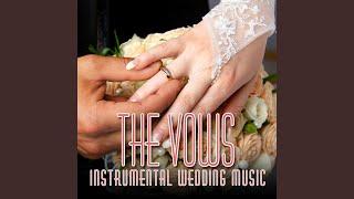 Blue Danube Waltz - My Wedding Music