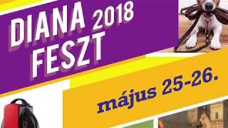 DianaFeszt - 2018