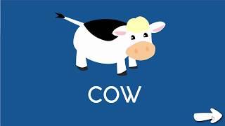 Animal flash cards - with sound - for toddlers, preschool and more!