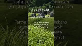 Bhagavad Gita -Chapter 3.28 |  Understanding the Division of Action  |Just Sudha Gyan
