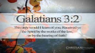Bible Verse Video - Nature (Part 2)