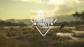 The Hunter: Call of the Wild Emerald Coast Australia DLC. До встречи в эфире.