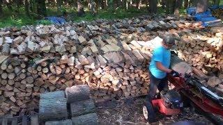 Joe's Premium Firewood inventory as of 06/01/2017