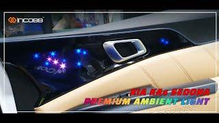 인코브(INCOBB KOREA) KA4 카니발(SEDONA) 전용 프리미엄 엠비언트 라이트(PREMIUM AMBIENT LIGHT)