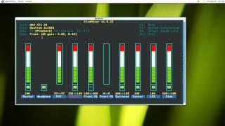 Alsamixer - Ncurses ALSA Sound Control - Ubuntu 10.10