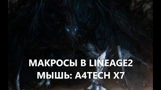 Делюсь опытом по использованию макросной мышки A4TECH. Lineage 2 Homunculus