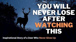 You Will Never Lose After watching this || Inspirational Story of a Deer Who Never Gives Up