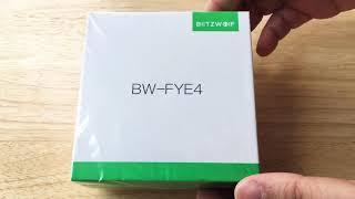 Blitzwolf BW-FYE4 Bluetooth 5 Wireless Earbuds & Case Unboxing 1-4-19