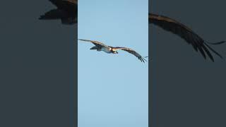 Landscape Photography Tips: Episode 13 - Get The Right Shutter Speed!  #NaturePhotography