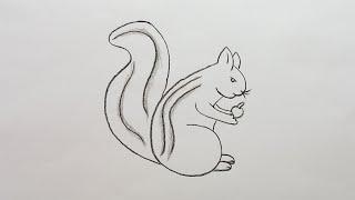 how to draw squirrel!! squirrel drawing for kids!! Как нарисовать белку легко!! pencil drawing