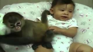 Смешные Обезьянки и Дети! Funny Monkeys and Children!