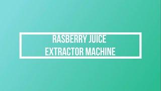 Rasberry Juice Extractor Machine by Geeli Fabricators, Ahmedabad