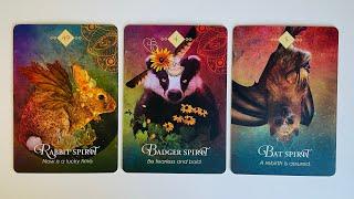 Your Future Spouse Revealed - Pick a Card - Timeless Tarot