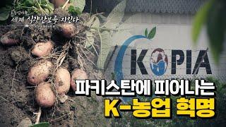 [KOPIA] ep1. 파키스탄에 피어난 K농업혁명 K농업 대단해요~~