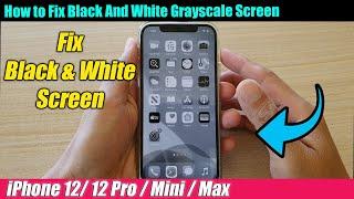 iPhone 12/12 Pro: How to Fix Black And White Grayscale Screen