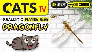 GAME FOR CATS - Realistic Dragonfly for cats to watch 4K 60FPS [CATS TV]