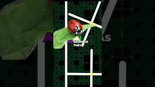 Game Bug Reporting: Get Exclusive Crocodile Skin Rewards!