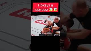 Жесткий нокаут в партере! #shorts #нокаут #бои #попмма