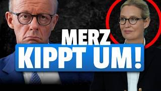 DAMIT hatte Alice Weidel KOMPLETT recht