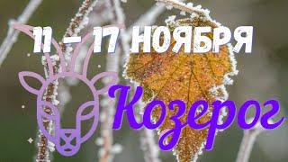 КОЗЕРОГ️Неделя с 11 по17 ноября 2024 года.