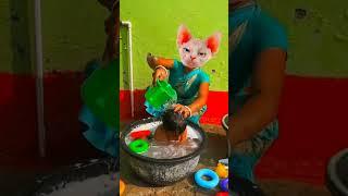 47 dhinka chika dhinka chika #trending #shortvideo #viral #funny #shorts #trendingshorts