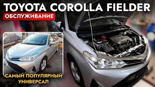 КУПИЛИ TOYOTA FIELDER 4WD️ СКОЛЬКО СТОИТ ОБСЛУЖИТЬ САМЫЙ НАРОДНЫЙ УНИВЕРСАЛ АКТУАЛЬНЫЕ ЦЕНЫ