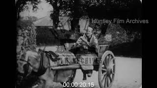 Donkeys in Rural Ireland, 1920s - Archive Film 1082488