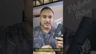 Tips & Tricks: Perfume Performance