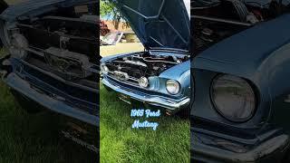 1965 Ford Mustang; Owner: Michael Murphy @American_Classic_Cars