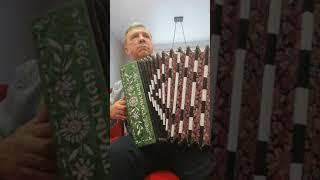 БЕРЕСТЕЙСКАЯ  ГАРМОНЬ.