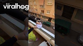 Cockroach Floats Down From Balcony in Style || ViralHog