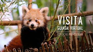 Educação Pré-escolar – Visita guiada virtual | Jardim Zoológico