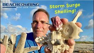 Beachcombing - Storm Surge Shelling