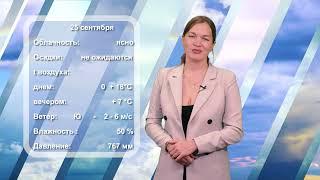 Погода на завтра. 24.09.2024