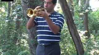 Master of  trumpet  (Thinking of you )  By LUIS CABRAL (VIDEO RICARDO STUDIO)